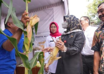 Bupati Klaten, Sri Mulyani kunjungi salah satu stand kelompok tani, Rabu (02/11/2022)