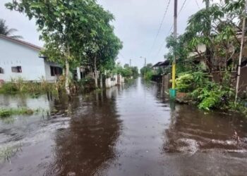 Ilustrasi: Banjir