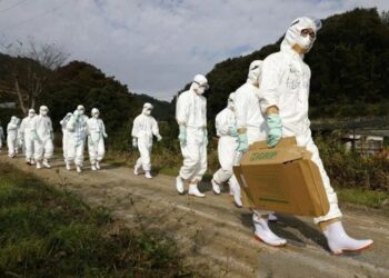 Para petugas berpakaian pelindung berjalan menuju peternakan unggas untuk menyelidiki kasus dugaan flu burung di Higashikagawa, Jepang barat. Foto arsip diambil oleh Kyodo, (08/11/2020). (Foto: Ant./Kyodo via Reuters/as)