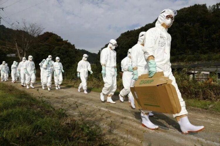 Para petugas berpakaian pelindung berjalan menuju peternakan unggas untuk menyelidiki kasus dugaan flu burung di Higashikagawa, Jepang barat. Foto arsip diambil oleh Kyodo, (08/11/2020). (Foto: Ant./Kyodo via Reuters/as)