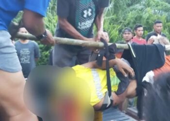 Andi, korban tewas diduga akibat diterkam harimau, di Siak, Riau, dievakuasi setelah sitemukan di sekitar areal kejadian. (Foto: ANT.).