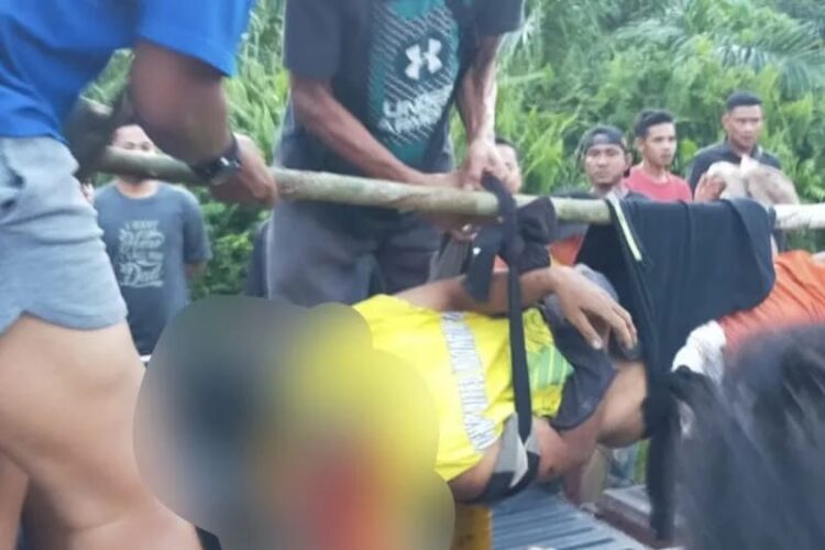 Andi, korban tewas diduga akibat diterkam harimau, di Siak, Riau, dievakuasi setelah sitemukan di sekitar areal kejadian. (Foto: ANT.).