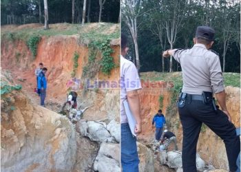 Lembu-lembu masyarakat yang mati diduga diracun. (mass)