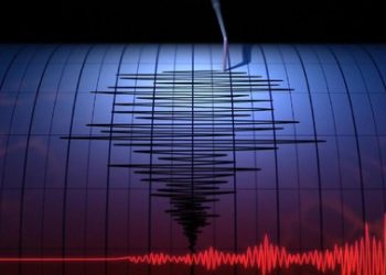 Ilustrasi Grafik Gempa (Istockphoto/ Petrovich9 dari CNN Indonesia).