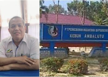 APK Kebun Ambalutu Achmadsyah (kiri) & Kantor PTPN IV Regional I Kebun Ambalutu (kanan)