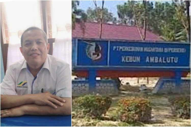 APK Kebun Ambalutu Achmadsyah (kiri) & Kantor PTPN IV Regional I Kebun Ambalutu (kanan)