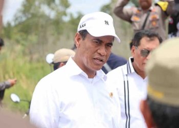 Menteri Pertanian Andi Amran Sulaiman meninjau optimasi lahan (Oplah) di wilayah Dadahup, Kabupaten Kapuas, Provinsi Kalimantan Tengah, Rabu (28/08/2024). Sumber: ANTARA