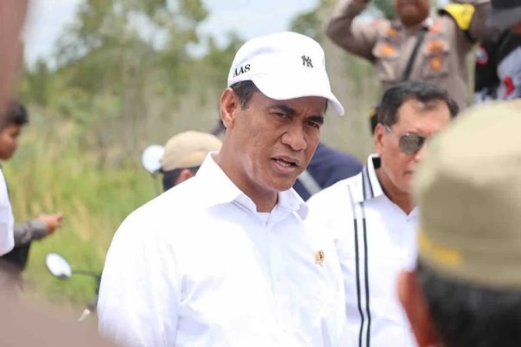 Menteri Pertanian Andi Amran Sulaiman meninjau optimasi lahan (Oplah) di wilayah Dadahup, Kabupaten Kapuas, Provinsi Kalimantan Tengah, Rabu (28/08/2024). Sumber: ANTARA
